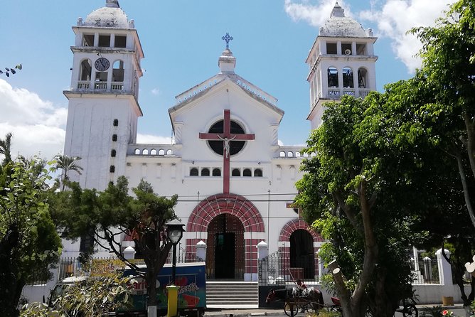 Route of the Flowers: Hot Springs + Coffee Tour + Nahuizalco and Ataco Towns - Detailed Coffee Production Process