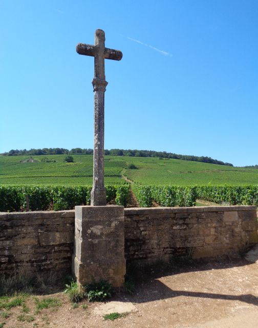 Route of the Grand Crus, Private Wine Tasting in Burgundy! - Family-Run Estates Wine Tastings