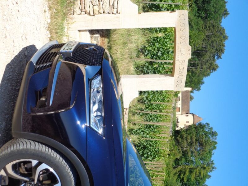 Route of the Grand Crus, Private Wine Tasting in Burgundy! - Guided Tour in English/French