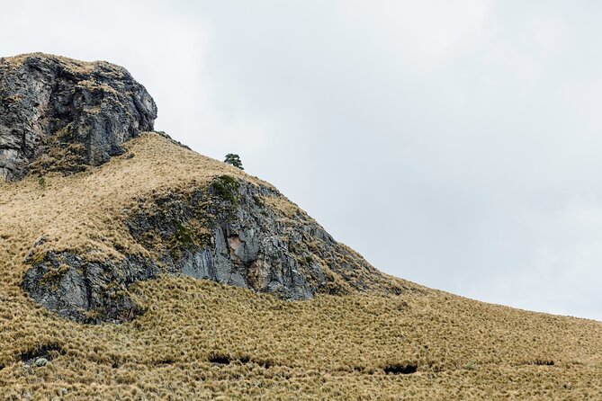 Route of the Iztaccíhuatl Volcanoes and Ancestral Heritage - Reviews and Experiences