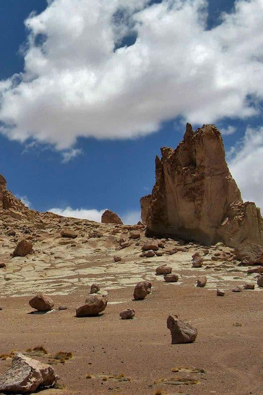 Route of the Salt Flats: Crossing the White Desert - Included Services