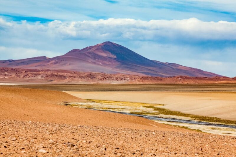 Route of the Salt Flats: Crossing the White Desert - Transportation and Pickup
