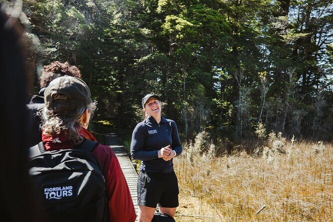 Routeburn Guided Day Hike from Te Anau with Lunch & Transport - What to Expect from the Routeburn Guided Day Hike