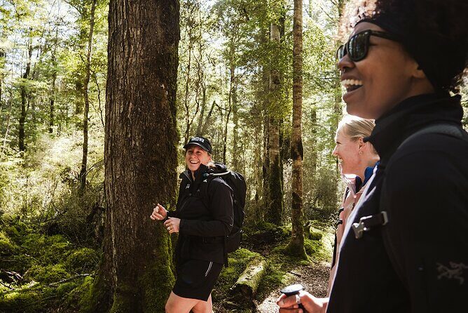 Routeburn Guided Day Hike from Te Anau with Lunch & Transport - The Sum Up