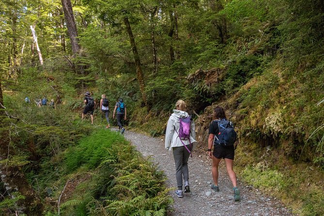 Routeburn Track Guided Walk (Half-Day) - Constructive Feedback From Reviews