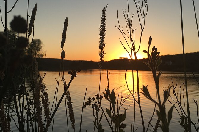 Routes Interpreted by Day // Stargazing at Night. - Reviews and Ratings