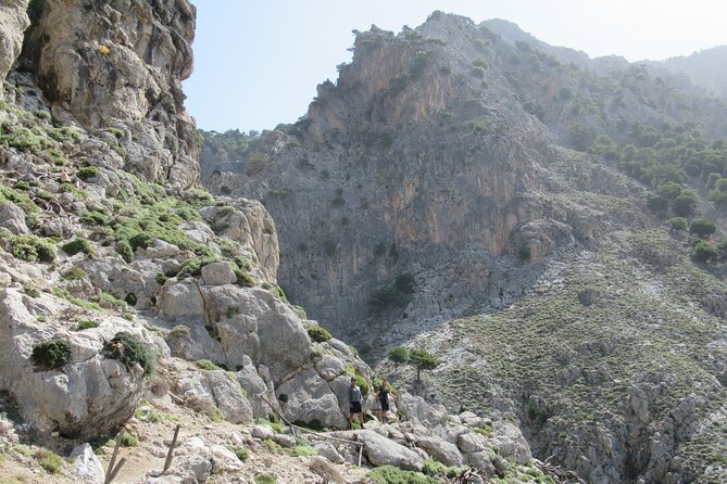 Rouvas Gorge - Hiking Tour Experience