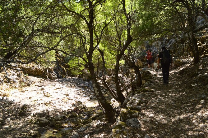 Rouvas Gorge - Ratings and Feedback From Visitors