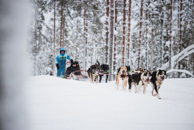 Rovaniemi 2 Days Activities Package - Cancellation and Booking Policies