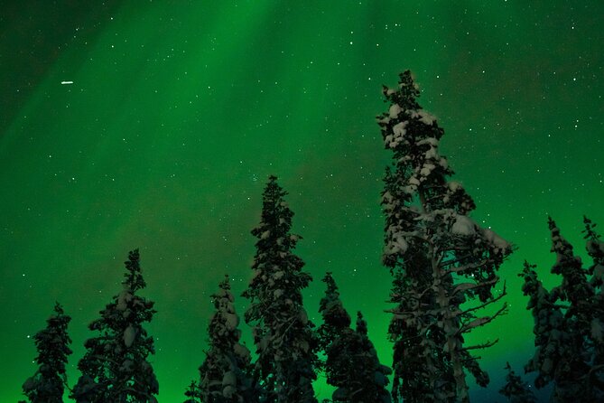 Rovaniemi 2 Days Activities Package - Additional Considerations