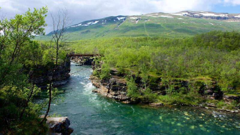 Rovaniemi: 2 Days Tour to Abisko, Sweden - Tour Guide and Services
