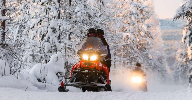 Rovaniemi: 2-Hour Snowmobiling Experience - Activity Overview