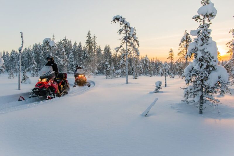 Rovaniemi: 2-Hour Snowmobiling Experience - Guided Tour and Refreshments