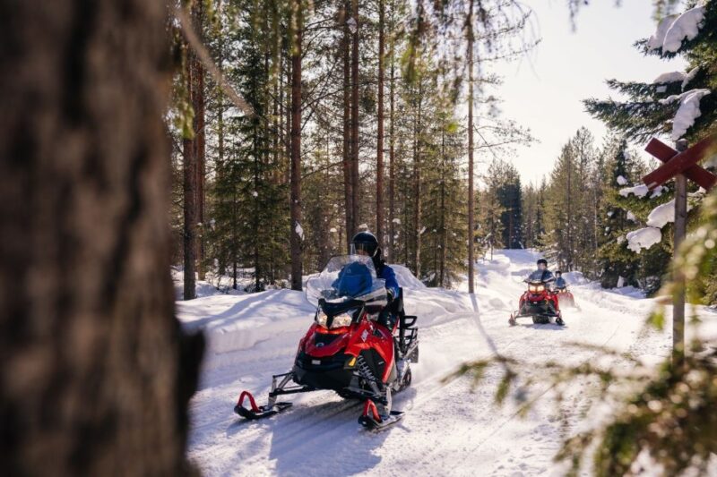 Rovaniemi: 4h Snowmobile Safari - Activity Overview