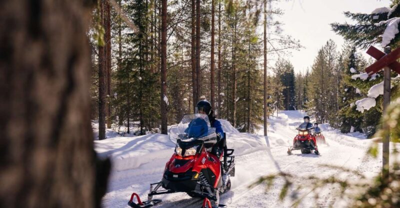 Rovaniemi: 4h Snowmobile Safari - Inclusions and Experience
