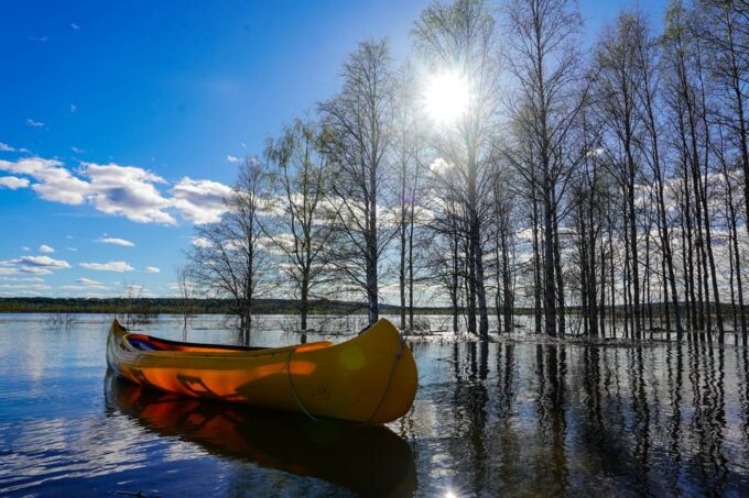 Rovaniemi: All-Day Canoe Adventure - Canoeing Techniques