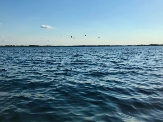 Rovaniemi: All-Day Canoe Adventure - Arctic Scenery and Wildlife