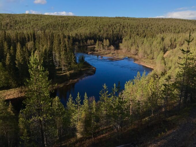 Rovaniemi: All-Day Canoe Adventure - Frequently Asked Questions