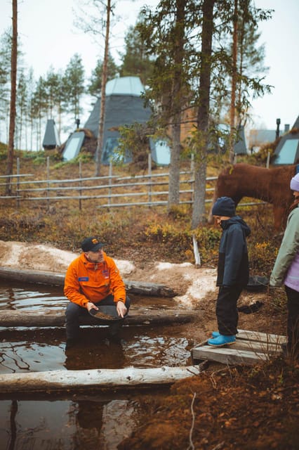 Rovaniemi: Apukka Gold Rush - Included Features