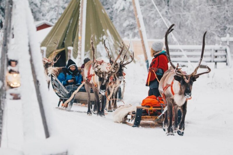 Rovaniemi: Apukka Reindeer Journey - Participant Information