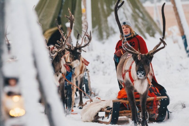 Rovaniemi: Apukka Reindeer Sleigh Ride at Night - Highlights of the Experience
