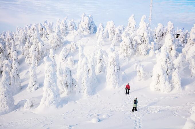 Rovaniemi: Arctic Animals Sleigh Rides and Wildlife Zoo - Lunch and Guided Tour