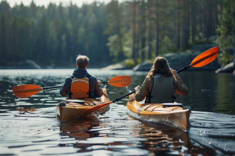 Rovaniemi: Arctic Canoeing Trip & Barbeque - Activity Overview