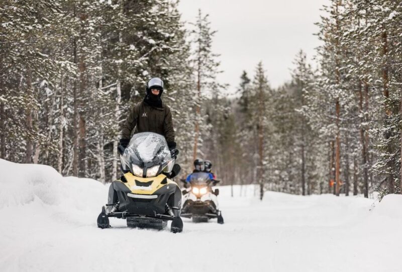 Rovaniemi: Arctic Circle Family-Friendly Snowmobile Tour - Tour Overview