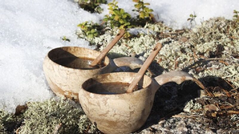 Rovaniemi: Arctic Circle Family-Friendly Snowmobile Tour - Inclusions