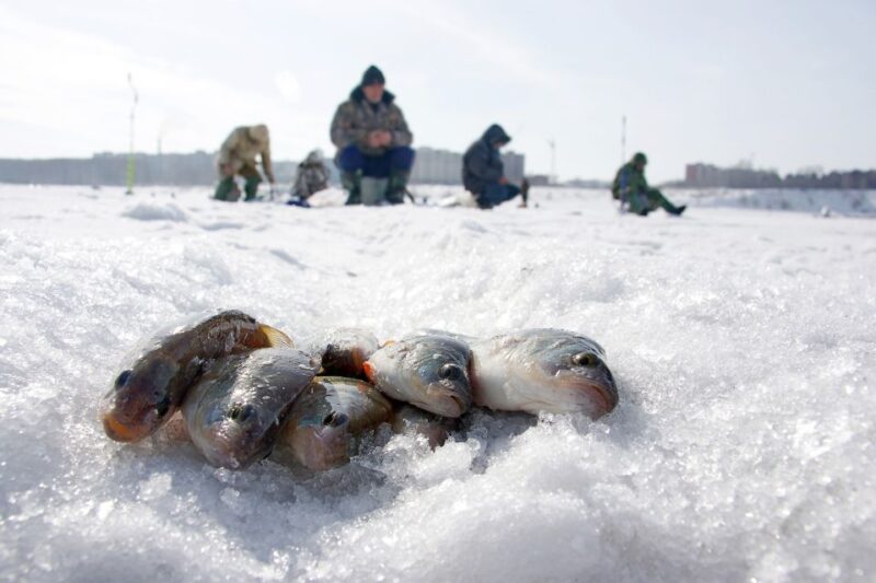 Rovaniemi: Arctic Circle Ice Fishing Experience - Participant Information