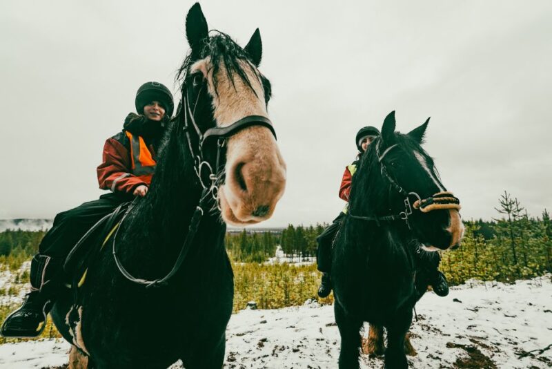 Rovaniemi: Arctic Horse Riding Experience - Activity Overview