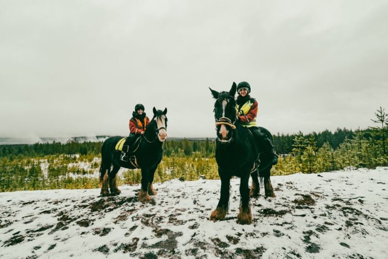 Rovaniemi: Arctic Horse Riding Experience - Age and Weight Restrictions