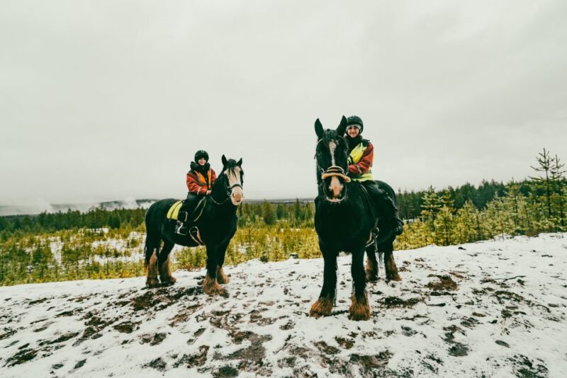 Rovaniemi: Arctic Horse Riding Experience - Cancellation Policy