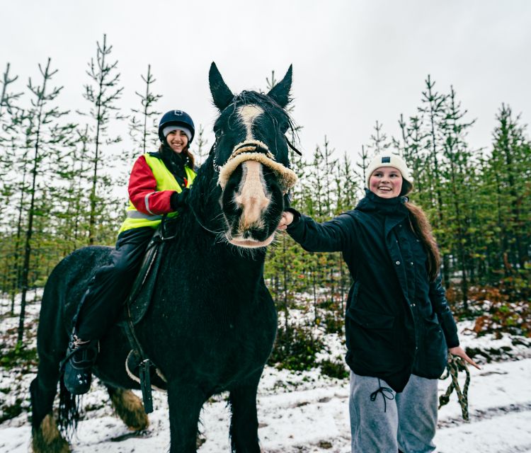 Rovaniemi: Arctic Horse Riding Experience - Guide Languages