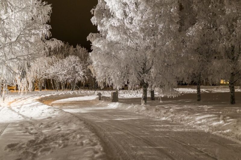 Rovaniemi: Arctic Ice Karting Tour - Professional Guidance and Instructions