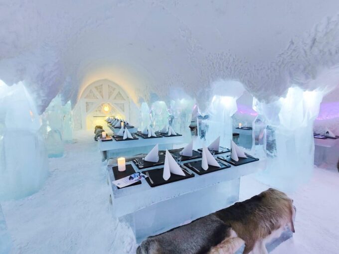 Rovaniemi: Arctic Snow Hotel Tour and Sauna Experience - Important Information and Recommendations