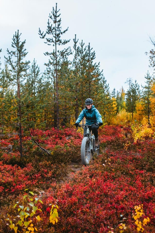 Rovaniemi: Arctic Wilderness & Forests Guided E-Bike Tour - Experience Highlights