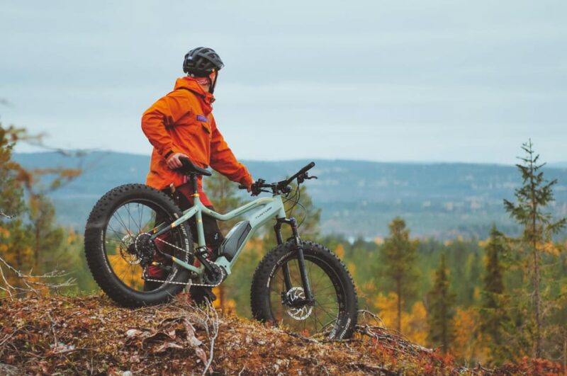 Rovaniemi: Arctic Wilderness & Forests Guided E-Bike Tour - Included Amenities