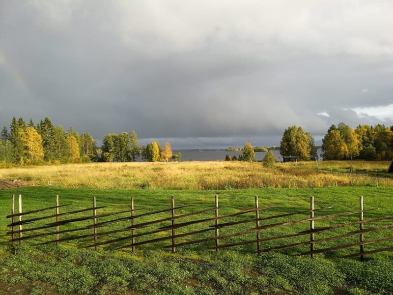Rovaniemi: Arctic Wilderness & Forests Guided E-Bike Tour - Participant Requirements