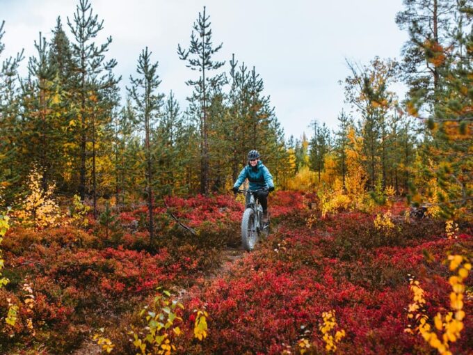 Rovaniemi: Arctic Wilderness & Forests Guided E-Bike Tour - Pricing and Duration