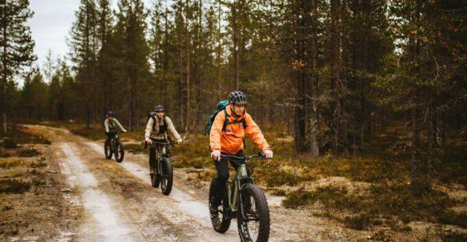 Rovaniemi: Arctic Wilderness & Forests Guided E-Bike Tour - Frequently Asked Questions