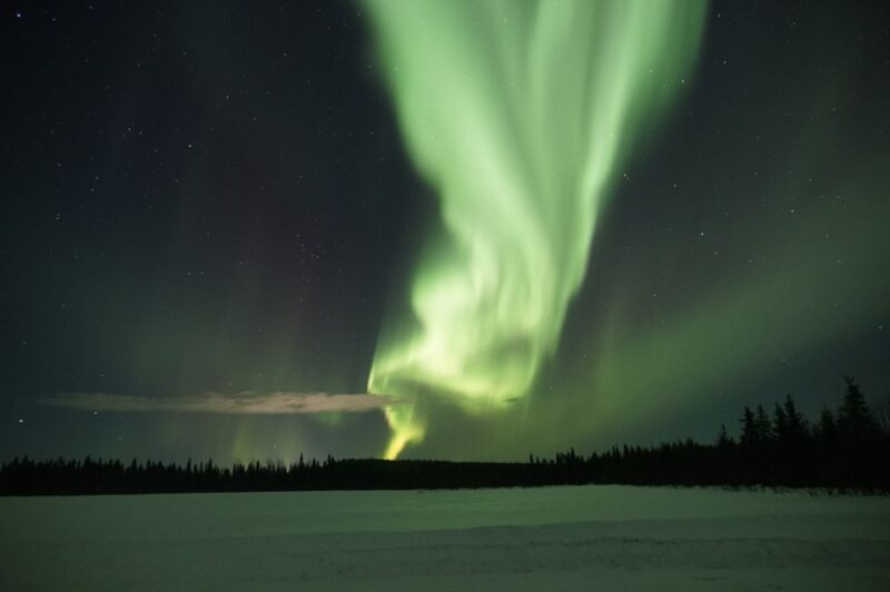 Rovaniemi: Aurora Borealis and Picnic - Activity Overview