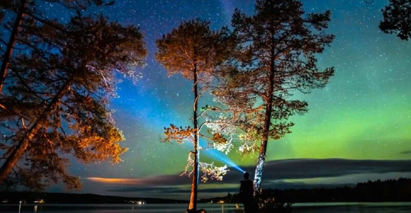 Rovaniemi: Aurora Borealis Autumn Picnic - Good To Know
