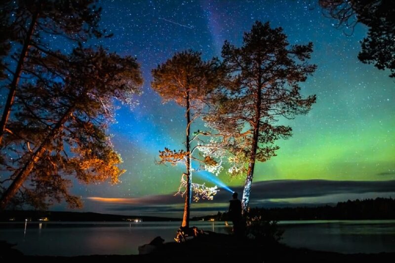 Rovaniemi: Aurora Borealis Autumn Picnic - Participation Details