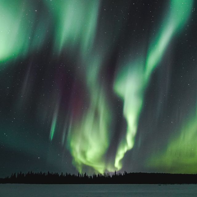 Rovaniemi: Aurora Borealis Hunting Photo Tour - Participant Information