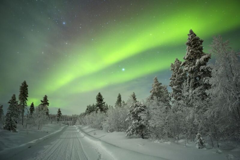 Rovaniemi: Aurora Borealis Snowmobile Safari With Campfire - Requirements and Safety