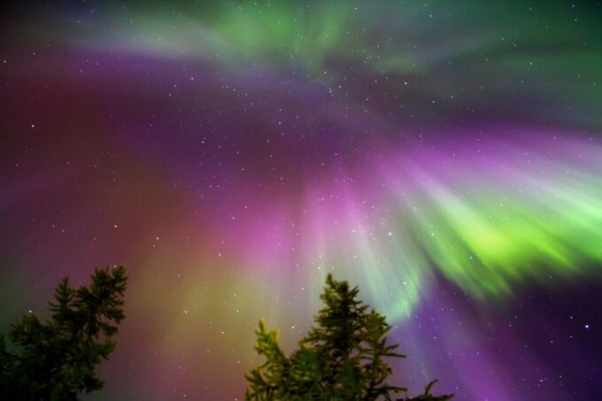 Rovaniemi: Aurora Borealis Snowmobile Safari With Campfire - Campfire Break With Refreshments