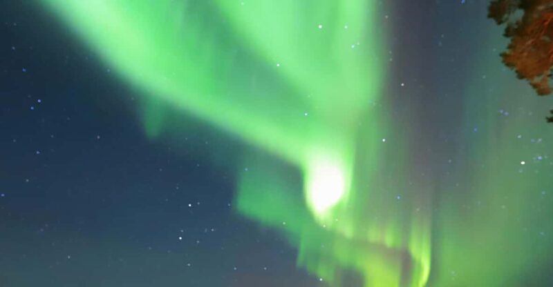 Rovaniemi: Aurora Borealis Trip – Autumn - Pricing Details