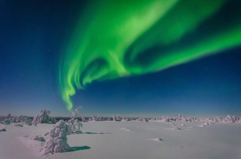 Rovaniemi: Aurora Guarantee Photography Tour (Small Group) - Aurora Guarantee and Photography