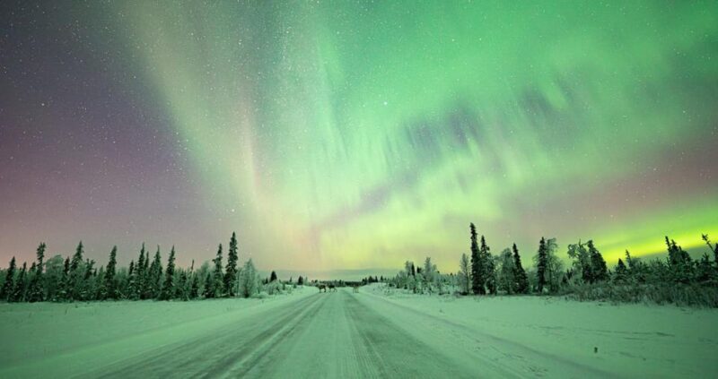 Rovaniemi: Aurora Guarantee Photography Tour (Small Group) - Accessibility and Restrictions